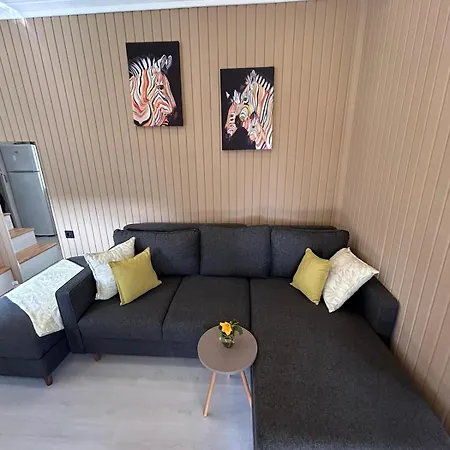 Soeguet 말마리스